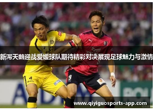 新泻天鹅迎战爱媛球队期待精彩对决展现足球魅力与激情